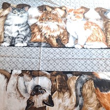 Kitten Capers Cotton Fabric