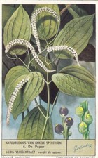 Liebig 6 cards V/G:  S1577