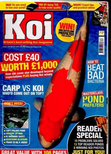 Koi magazine march - koi,