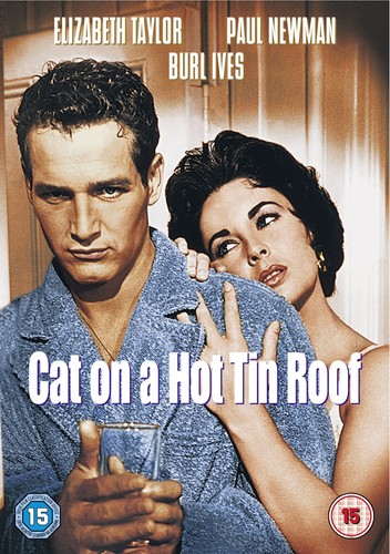 Cat hot tin roof - cat,
