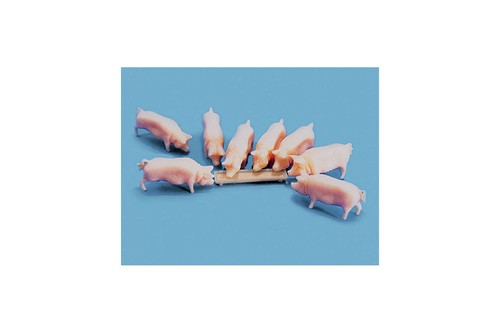 Modelscene 5108 gauge pigs - oo,