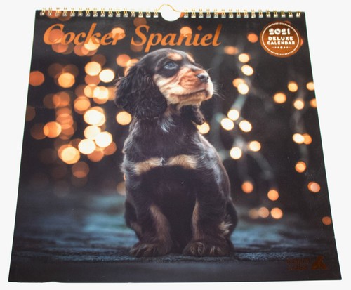 Cocker spaniel calendar 2021 - calendar,