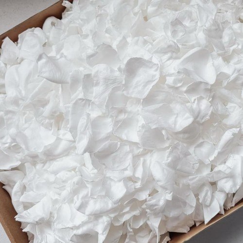 300 pcs real white - pcs,