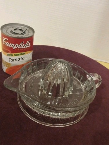 Large juicer clear glass - juicer,