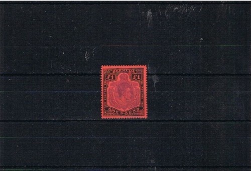 Bermuda gvi m sg121d - bermuda, £1