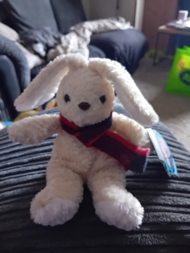 Tesco chilly rabbit - tesco,