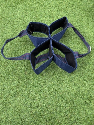 Lawn bowls carrier - bowls,