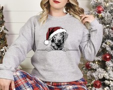 Xmas Sweater Chesapeake Bay Retriever Christmas Sweater Xmas Jumper Xmas Shirt