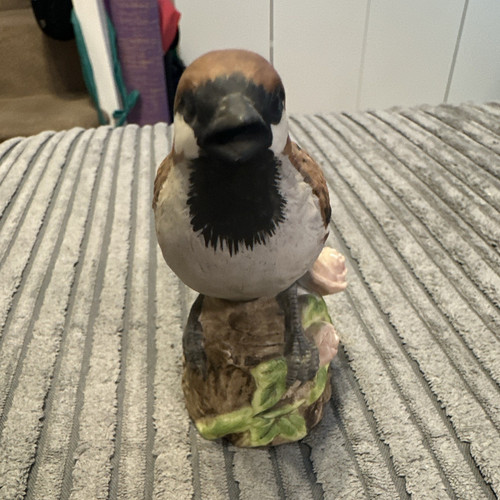 Beautiful birds collection - beautiful,