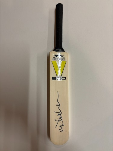 Michael vaughan - michael, (england)