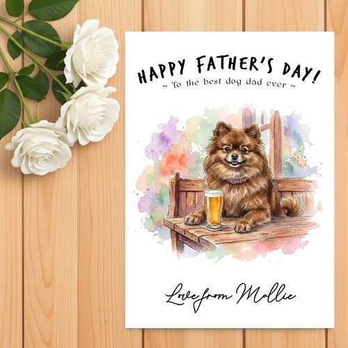 Pomeranian brown father - pomeranian,