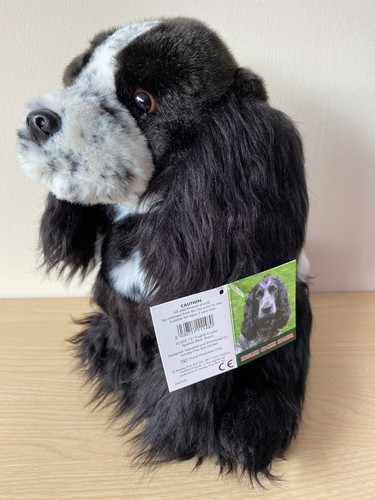 Blue roan cocker spaniel - blue,