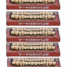 5 Sets Denture 23# Shade A2
