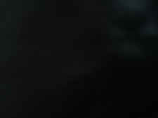 ADAGIO CHARMAINE LEOTARD SHINY