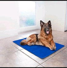Extra Large Chilli Paws Pet Cooling Mat Pet Dog Cat Heat Relief Non-Toxic Summer
