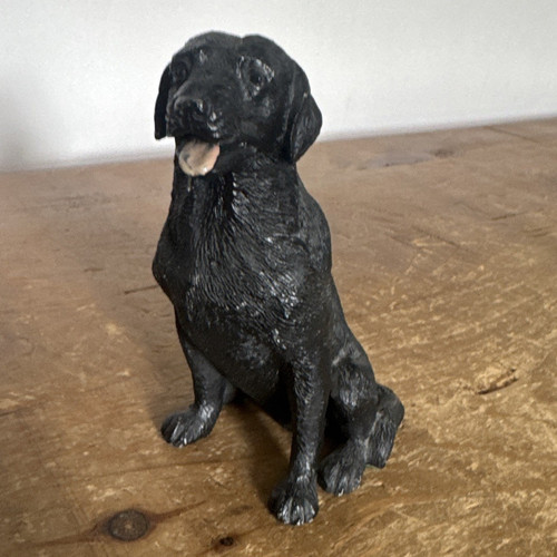 Black labrador retriever - labrador, dog