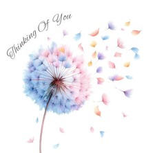 Personalised Sympathy Thinking
