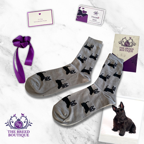 Scottish terrier socks unisex - scottish,