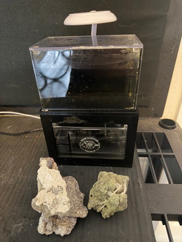 Aquarium saltwater micro - aquarium, reef