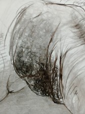 Erotic Fine Art Large Scale NSFW Charcoal Drawing Male Nude Phallus Art A1