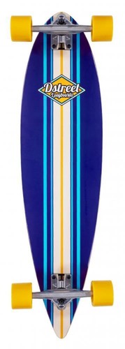 Street pintail ocean - pintail,