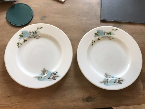 Vintage jaj pyrex wild fowl - vintage,