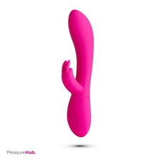 Rechargeable vibrating rampant