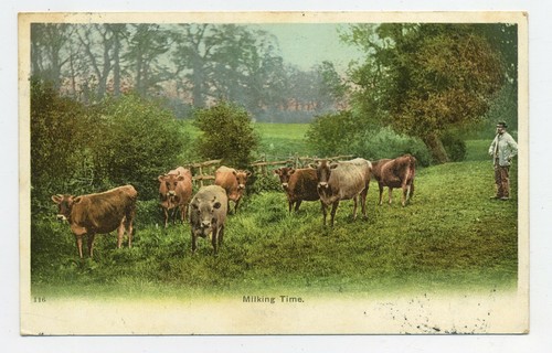 Milking time vintage - time,