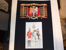 THE LIFE GUARDS A4 BATTLE