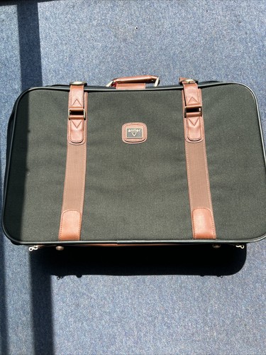Vintage antler suitcase - antler, in