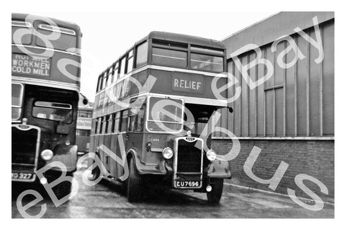 Bus photograph red white - bus,