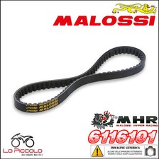 6116101 Belt X K Malossi