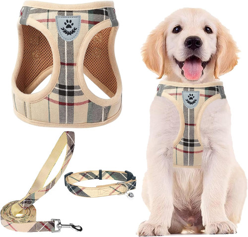 Dog harness small - small,