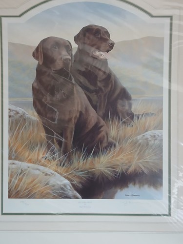 Nigel hemming signed - nigel,