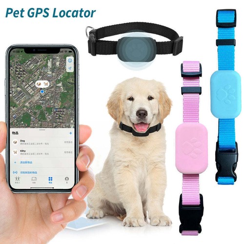 Pet cat dog gps locator - pet,