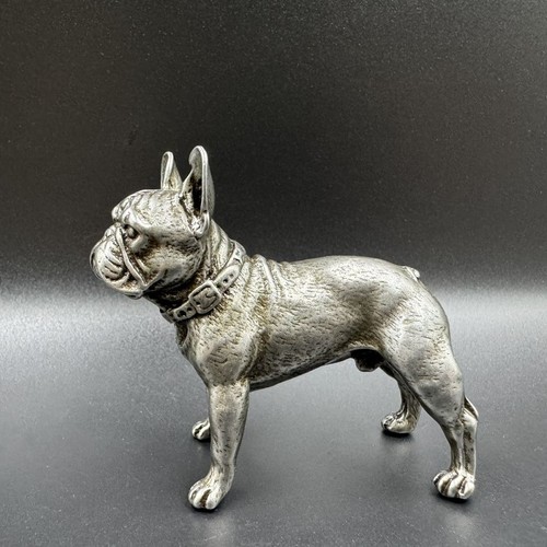 French bull dog lucky - french, it