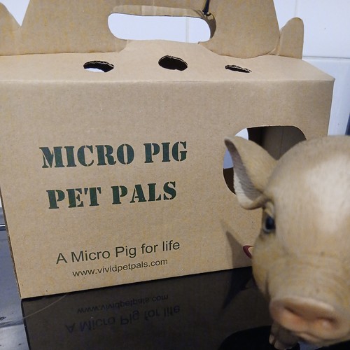 Micro pig pet pals mp03 - pig,