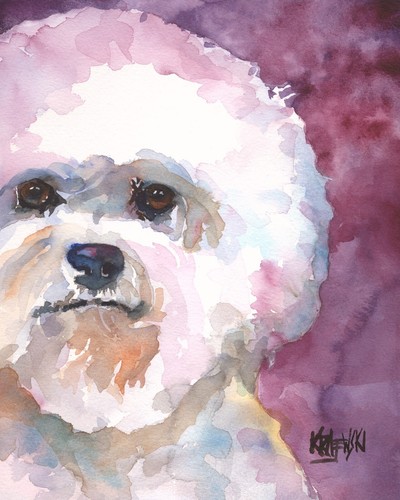 Bichon frise print - frise, of