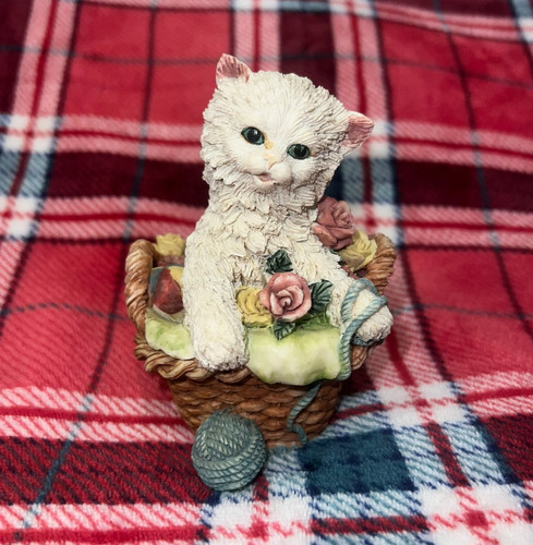 Academy white kitten - academy,