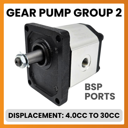 Hydraulic gear pump group - pump,, 2