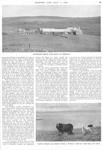 1950 shetland way life - shetland,