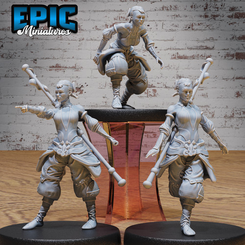 Shaolin monk female d - monk,