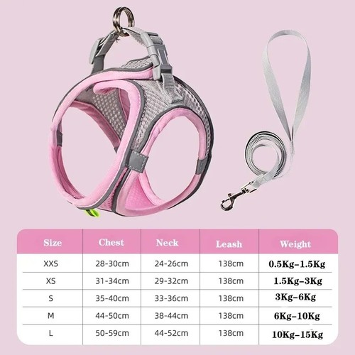 Dog harness and - and, leash