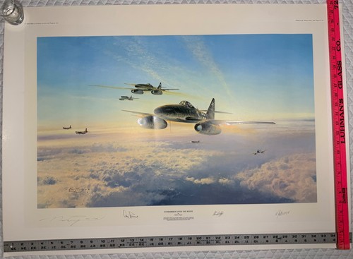 Stormbirds over the reich - the, reich'