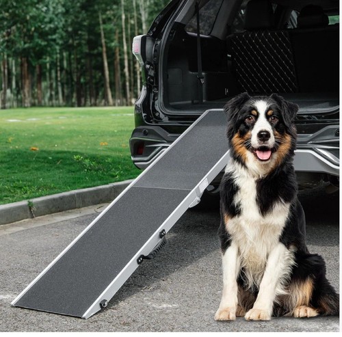 Travel friendly dog ramp - travel-friendly,