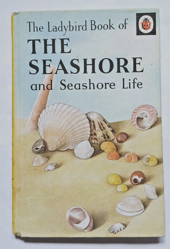 Ladybird the seashore - ladybird, and