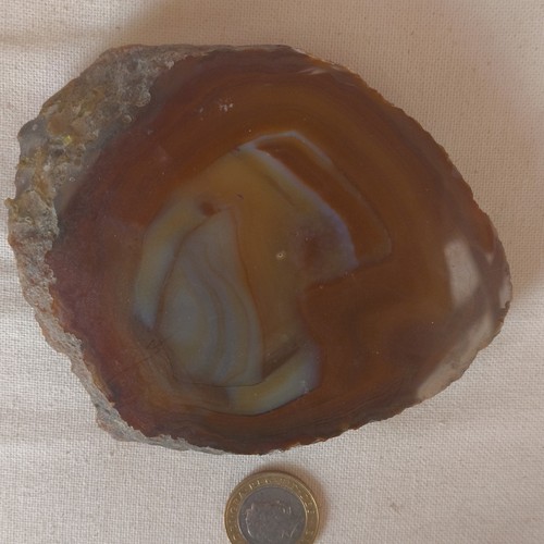 Polished agate slice specimen - agate,
