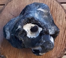 Medium Size Natural Norfolk