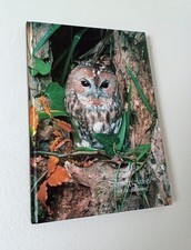 Country Artists 1991 Limited Edition signed Collectors Reference Book