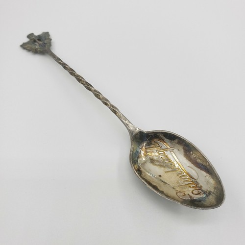 Sterling silver souvenir spoon - sterling,